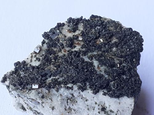 Anatase, Brookite, Rutile, Chlorite group<br />Hüttenberg, Sankt Veit an der Glan, Carintia/Kärnten, Austria<br />2 x 1,5 cm<br /> (Author: Volkmar Stingl)