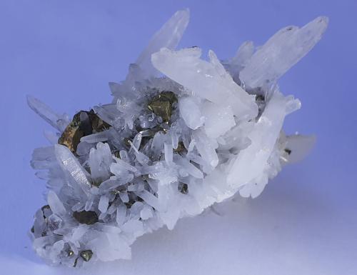 Quartz, Chalcopyrite<br />Zona minera Cavnic, Cavnic, Maramures, Rumanía<br />6,5 x 4,5 cm<br /> (Author: Volkmar Stingl)