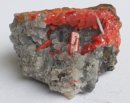 Realgar<br />Mina Palomo, Provincia Castrovirreyna, Departamento Huancavelica, Perú<br />1,7 x 1,2 cm<br /> (Author: Volkmar Stingl)