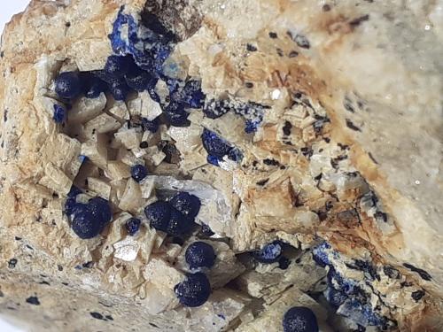 Azurite, Dolomite, Quartz<br />Distrito minero Ringenwechsel, Troi, Distrito Schwaz, Valle Inn, Tirol Norte, Tirol, Austria<br />FoV ca. 4 x 3 cm<br /> (Author: Volkmar Stingl)