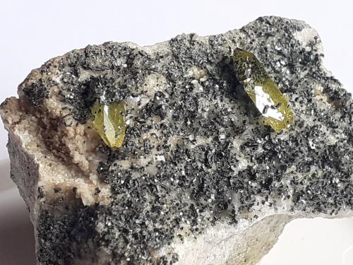 Titanite, Chlorite group<br />Valle Aurina (Valle Ahrnbach), Provincia Bolzano, Trentino-Alto Adige (Trentino-Südtirol), Italia<br />4 x 2,5 cm<br /> (Author: Volkmar Stingl)