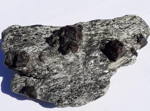 Almandine<br />Stapfenalm, Valle Stilupp, Mayrhofen, Distrito Schwaz, Tirol Norte, Tirol, Austria<br />16 x 10 cm<br /> (Author: Volkmar Stingl)