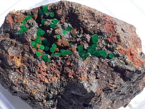 Conichalcite<br />Distrito minero Lavrion, Prefectura Attikí (Attica), Grecia<br />2,5 x 1,5 cm<br /> (Author: Volkmar Stingl)