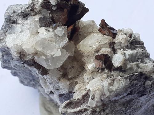 Quartz, Siderite<br />Kohlwald, Flirsch, Distrito Landeck, Tirol Norte, Tirol, Austria<br />4,5 x 3,5 cm<br /> (Author: Volkmar Stingl)