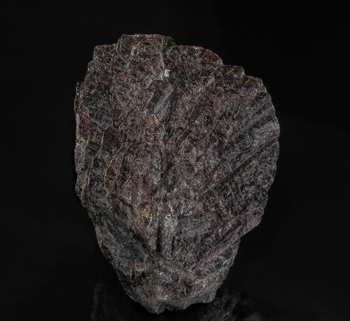 Axinite-(Fe)<br />Mina Toroku, Takachiho, Prefectura Miyazaki, Región Kyushu, Japón<br />5.8 x 4.3 cm<br /> (Author: am mizunaka)