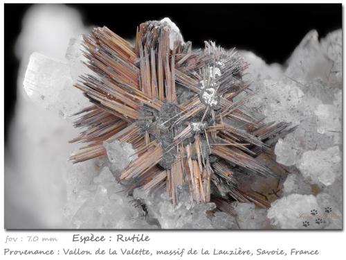 Rutile<br />Vallon de la Valette, Macizo La Lauzière, Saint-Jean-de-Maurienne, Saboya, Auvergne-Rhône-Alpes, Francia<br />fov 7 mm<br /> (Author: ploum)