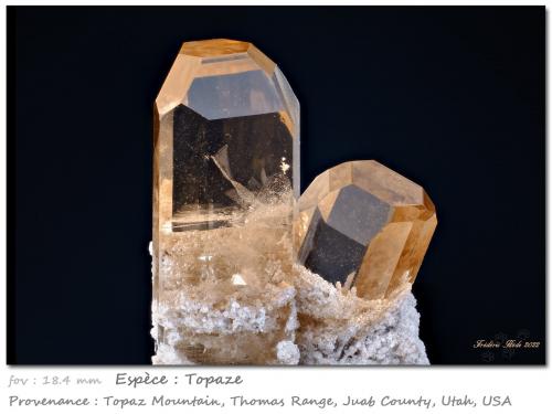 Topaz<br />Monte Topaz, Cordillera Thomas, Condado Juab, Utah, USA<br />fov 18.4 mm<br /> (Author: ploum)