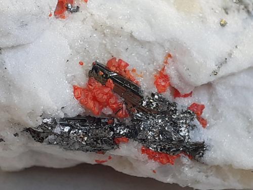 Baumhauerite, Realgar<br />Cantera Lengenbach, Fäld, Valle Binn (Binntal), Wallis (Valais), Suiza<br />4,5 x 3 cm<br /> (Author: Volkmar Stingl)