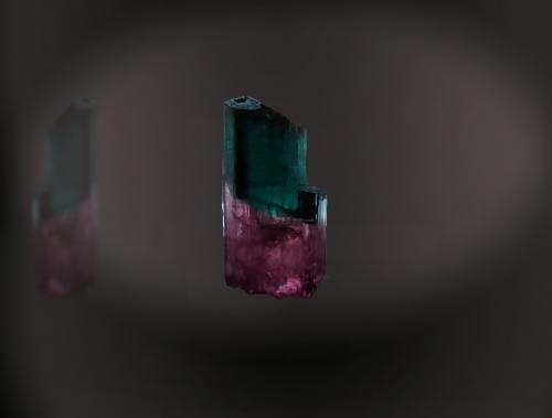 Elbaite<br />Mina Cruzeiro, Santa Maria do Suaçui, Governador Valadares, Vale do Rio Doce, Minas Gerais, Brasil<br />11 mm x 22 mm x 8 mm<br /> (Author: Firmo Espinar)