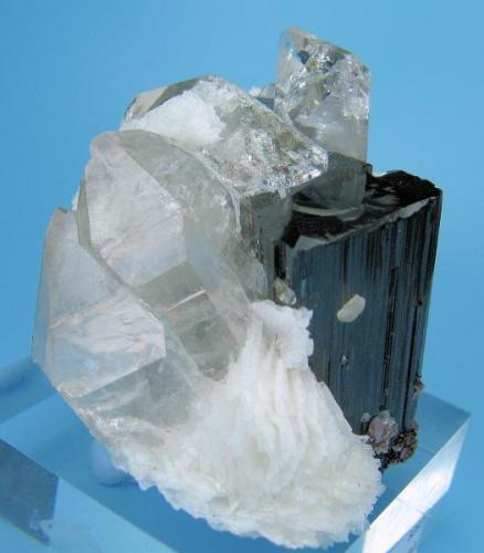 Topaz, schorl, quartz, albite, mica
Chamachhu, Haramosh Mts., Skardu, Gilgit-Baltistan, Pakistan
 56 mm x 47 mm (Author: Carles Millan)