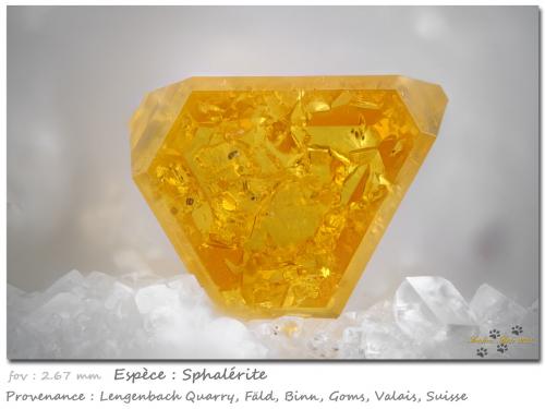 Sphalerite<br />Cantera Lengenbach, Fäld, Valle Binn (Binntal), Wallis (Valais), Suiza<br />fov 2.67 mm<br /> (Author: ploum)