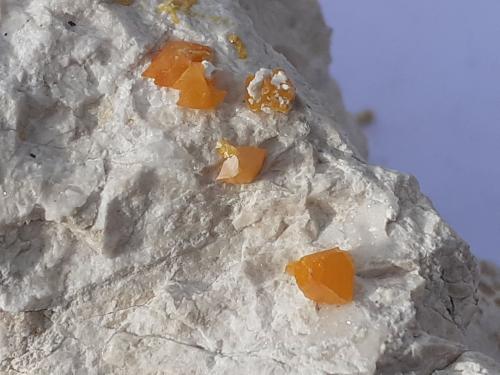 Wulfenite<br />Mina Helena, Crna (Schwarzenbach), Municipio Meica, Región Carintia, Eslovenia<br />11 x 7 cm<br /> (Author: Volkmar Stingl)