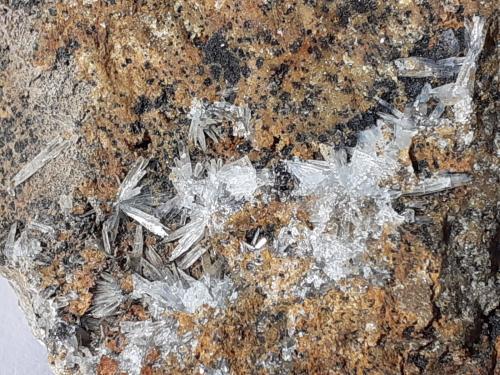 Aragonite<br />Silberbergalm, Brixlegg, Distrito Kufstein, Valle Inn, Tirol Norte, Tirol, Austria<br />5,5 x 4,5 cm<br /> (Author: Volkmar Stingl)