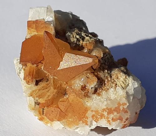 Calcite<br />Cañon Fendels, Ried im Oberinntal, Distrito Landeck, Tirol Norte, Tirol, Austria<br />3 x 2,5 cm<br /> (Author: Volkmar Stingl)