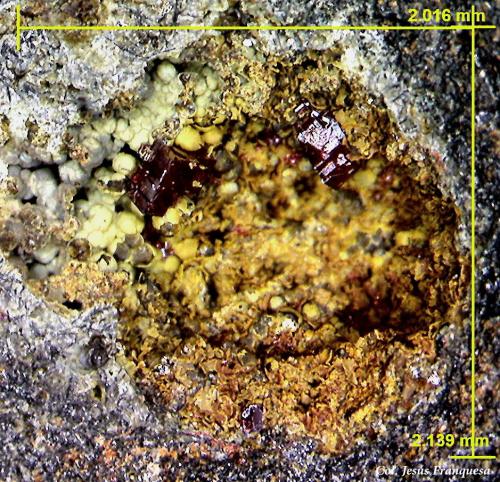 Cuprita.<br />Villecun, Olmet-et-Villecun, Lodève Canton, Lodève District, Hérault, Occitanie, France<br />2´13 x 2´01 mm.<br /> (Autor: Jesus Franquesa Baucells)