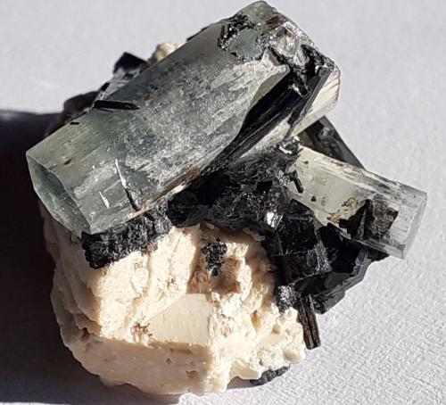 Beryl (variety aquamarine), Tourmaline (variety Schorl), Orthoclase<br />Ameib Farm 60 (Ameib Farm), Usakos, Distrito Karibib, Región Erongo, Namibia<br />2 x 1,5 cm<br /> (Author: Volkmar Stingl)