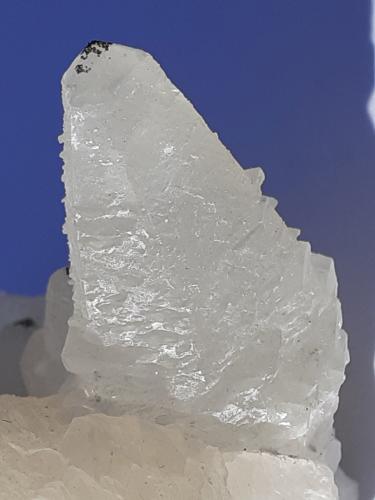 Calcite, Pyrite<br />Túnel norte Wuyi (obras), Wuyishan, Prefectura Nanping, Provincia Fujian, China<br />xl 2 cm<br /> (Author: Volkmar Stingl)