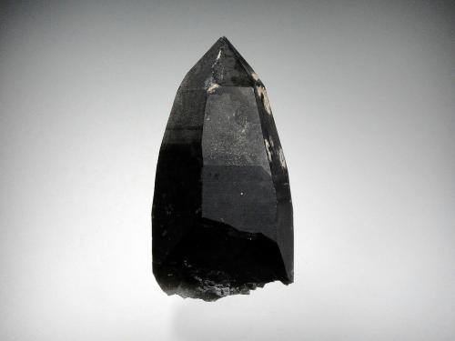 Cuarzo (variedad ahumado)<br />Butte, Distrito Butte, Condado Silver Bow, Montana, USA<br />8 x 4 cm.<br /> (Autor: Antonio P. López)