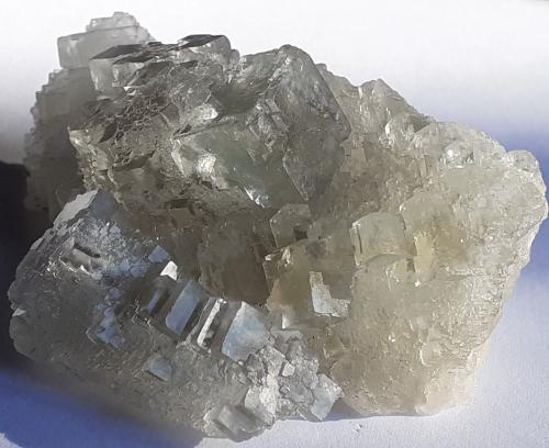 Fluorite<br />Mina Vignola, Valsugana, Vignola-Falesina, Provincia Trento, Trentino-Alto Adige (Trentino-Südtirol), Italia<br />7,5 x 5 cm<br /> (Author: Volkmar Stingl)