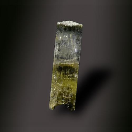 Elbaite<br />Río Padrón, Estepona, Comarca Costa del Sol Occidental, Málaga, Andalucía, España<br />3 mm x 12 mm x 3 mm<br /> (Author: Firmo Espinar)