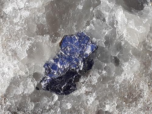 Molybdenite<br />Krupka, Montes Krusné Hory, Región Ústí, Bohemia, República Checa<br />8,5 x 5 cm<br /> (Author: Volkmar Stingl)