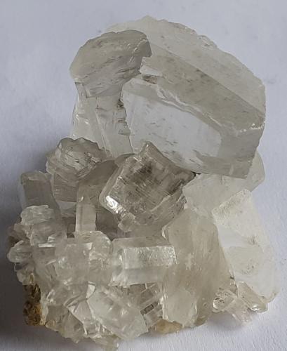 Gypsum variety Selenite<br />Mina San José, Ciudad de Oruro, Provincia Cercado, Departamento Oruro, Bolivia<br />6 x 4 cm<br /> (Author: Volkmar Stingl)