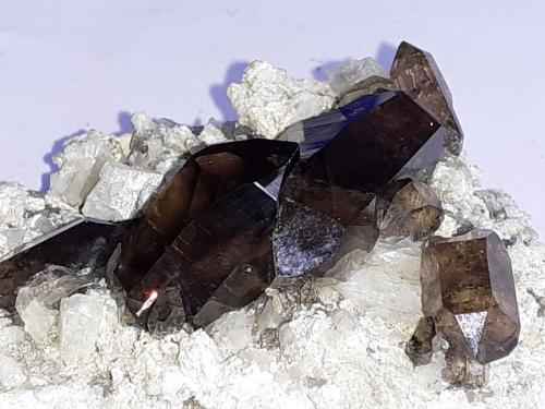 Quartz (variety smoky quartz), Orthoclase (variety adularia)<br />Monte Galenstock, Tiefenbach, Urseren, Uri, Suiza<br />6 x 4 cm<br /> (Author: Volkmar Stingl)