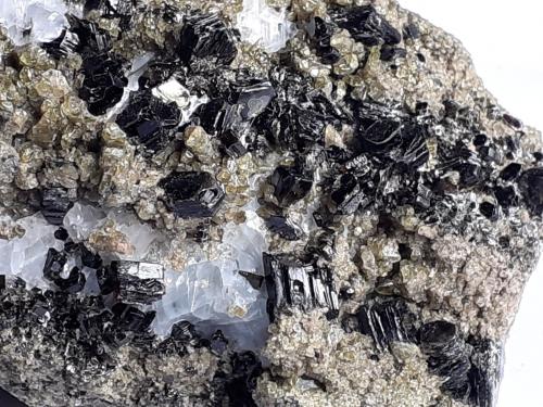 Augite (variety fassaite), Phlogopite<br />Vedretta della Miniera, Val Zebrù, Valfurva, Sondrio, Lombardia, Italia, Italia<br />6,5 x 4 cm<br /> (Author: Volkmar Stingl)