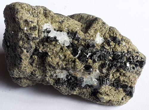 Augite (variety fassaite), Phlogopite<br />Vedretta della Miniera, Val Zebrù, Valfurva, Sondrio, Lombardia, Italia, Italia<br />6,5 x 4 cm<br /> (Author: Volkmar Stingl)