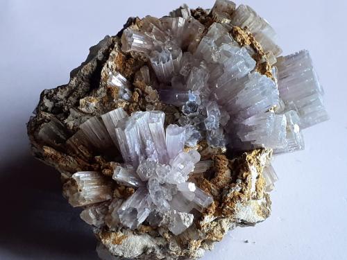 Aragonite<br />Afloramiento del Keuper, Los Molinillos, Minglanilla, Comarca Manchuela Conquense, Cuenca, Castilla-La Mancha, España<br />8 x 6,5 cm<br /> (Author: Volkmar Stingl)