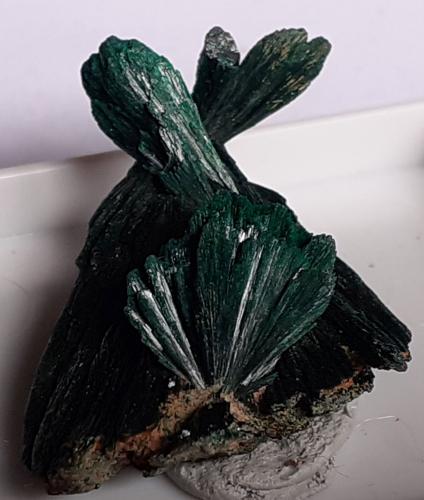 Malachite<br />Kerrouchen, Provincia Khénifra, Región Beni Mellal-Khenifra, Marruecos<br />3 x 2 cm.<br /> (Author: Volkmar Stingl)