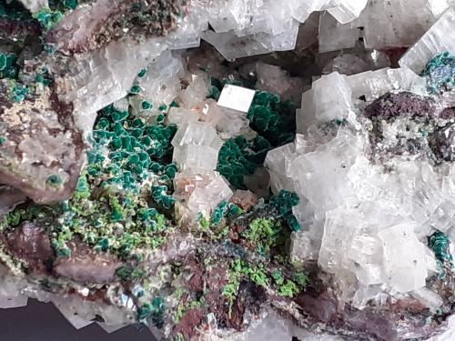 Calcite, Malachite, Duftite<br />Mina Tsumeb, Tsumeb, Región Otjikoto, Namibia<br />8 x 7 cm<br /> (Author: Volkmar Stingl)