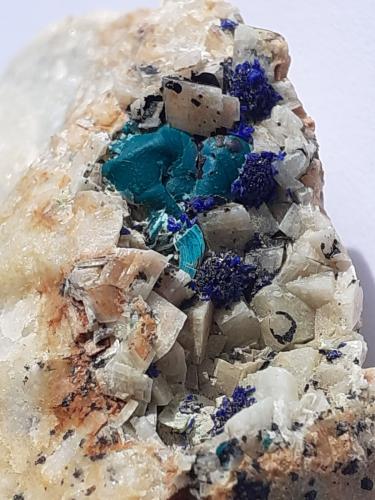 Azurite, Malachite, Dolomite<br />Distrito minero Ringenwechsel, Troi, Distrito Schwaz, Valle Inn, Tirol Norte, Tirol, Austria<br />FoV ca. 3 x 2 cm<br /> (Author: Volkmar Stingl)