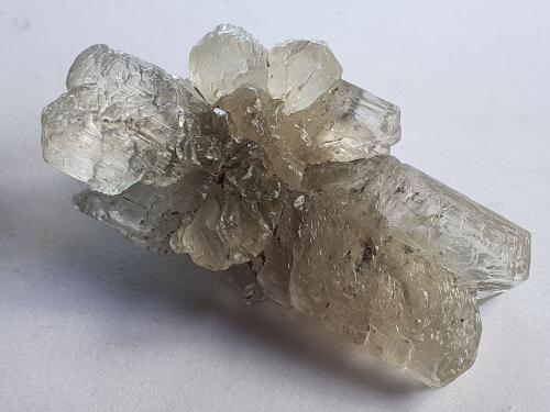 Gypsum (variety selenite)<br />Pozo Klein-Steimke, Königslutter am Elm, Helmstedt, Baja Sajonia/Niedersachsen, Alemania<br />4,5 x 2,5 cm<br /> (Author: Volkmar Stingl)