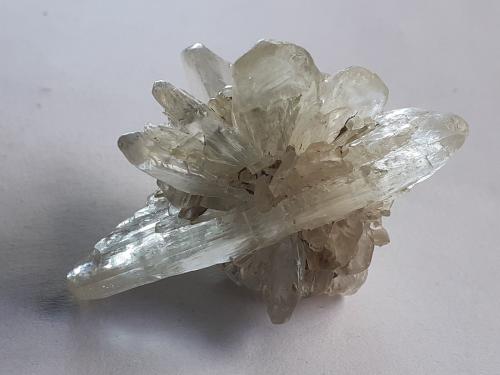 Gypsum (variety selenite)<br />Pozo Klein-Steimke, Königslutter am Elm, Helmstedt, Baja Sajonia/Niedersachsen, Alemania<br />4,5 x 3,5 cm<br /> (Author: Volkmar Stingl)