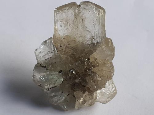 Gypsum (variety selenite)<br />Pozo Klein-Steimke, Königslutter am Elm, Helmstedt, Baja Sajonia/Niedersachsen, Alemania<br />3,3 x 2,5 cm<br /> (Author: Volkmar Stingl)