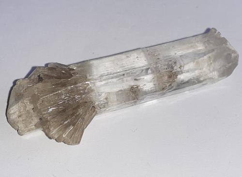 Gypsum (variety selenite)<br />Pozo Klein-Steimke, Königslutter am Elm, Helmstedt, Baja Sajonia/Niedersachsen, Alemania<br />5,5 x 1,5 cm<br /> (Author: Volkmar Stingl)