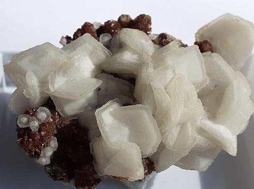 Calcite, Siderite, Goethite<br />Mina Herja, Chiuzbaia, Baia Sprie, Maramures, Rumanía<br />5 x 3,5 cm<br /> (Author: Volkmar Stingl)