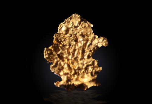 Gold<br />Harvard Mine, Mother Lode Belt, Jamestown, Jamestown District, Tuolumne County, California, USA<br />9 mm x 12 mm x 2 mm<br /> (Author: Firmo Espinar)