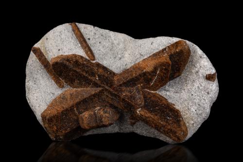 Staurolite<br />Pestsovye Keivy, Montes Keivy, Península Kola, Murmanskaja Oblast, Región Norte, Rusia<br />9.5 x 5.5 x 3 cm / main crystal: 7.7 cm<br /> (Author: MIM Museum)