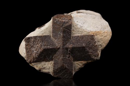 Staurolite<br />Pestsovye Keivy, Montes Keivy, Península Kola, Murmanskaja Oblast, Región Norte, Rusia<br />10.5 x 14.5 x 8 cm / main crystal: 10.0 cm<br /> (Author: MIM Museum)