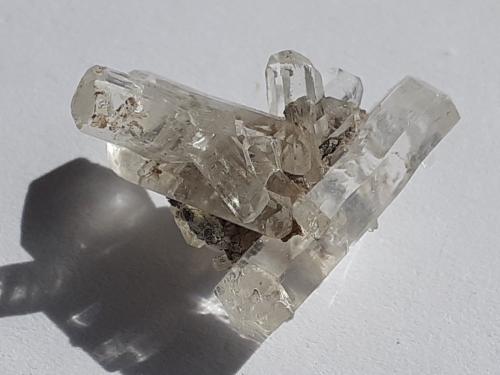 Gypsum (variety selenite)<br />Cantera Zimmersrode, Borken, Distrito Schwalm-Eder, Kassel, Hesse/Hessen, Alemania<br />1,5 x 1,5 cm<br /> (Author: Volkmar Stingl)