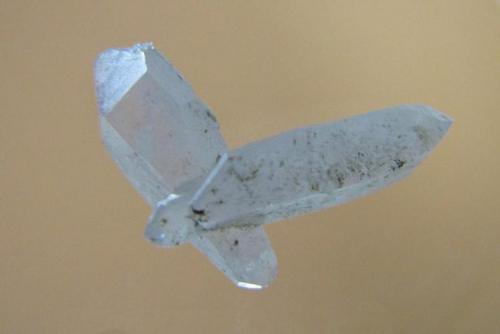 Quartz
Ghohroud, Qamsar, Kashan County, Esfahan Province (Isfahan Province; Aspadana Province), Iran
larger crystal is 5 mm (Author: h.abbasi)