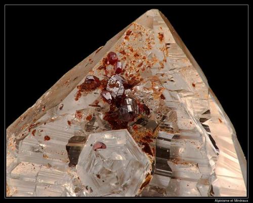 Rutile
Glacier de Valleggia, Val Bedretto, Tessin, Switzerland
fov 10 mm (Author: ploum)