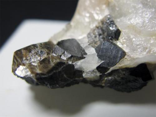 Casiterita<br />Concesión La Parrilla, Santa Amalia, Don Benito-Almoharín, Comarca Vegas Altas, Cáceres, Extremadura, España<br />Cristales de 0,5 x 0,5 cm.<br /> (Autor: Juan C. Agua)