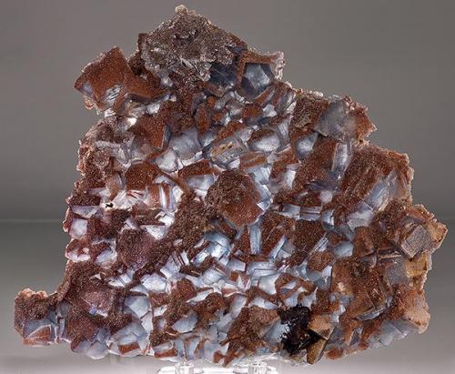 Fluorite with quartz
Galena King Mine, Tijeras Canyon District, Bernalillo Co., New Mexico
Specimen size 17 x 14 cm. (Author: am mizunaka)