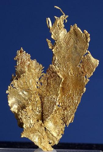 Gold
Round Mountain Mine
Nye County, Nevada
Specimen size 4.5 x 2.5 cm. (Author: am mizunaka)