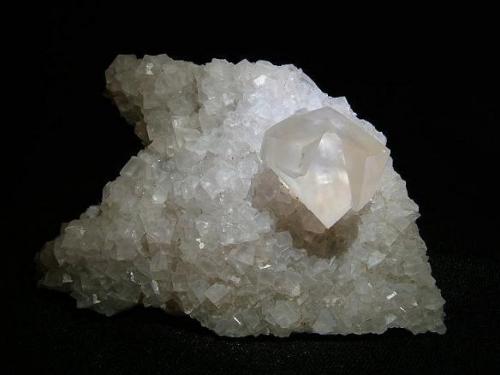 Calcite + stilbite
Biod a’ Mhurain, Duirinish, Isle of Skye, Scotland, UK
Specimen is 75 mm x 45 mm
Calcite crystal 20mm wide

An interpenetrant rhombohedral calcite crystal 20mm wide is perched aesthetically on a bed of simple calcite rhombs (to 4mm), on a thin bed of micro stilbite crystals. Specimen is 75 mm x 45 mm. Self-collected 1997 from Biod a’ Mhurain, Duirinish, Isle of Skye. (Author: Mike Wood)