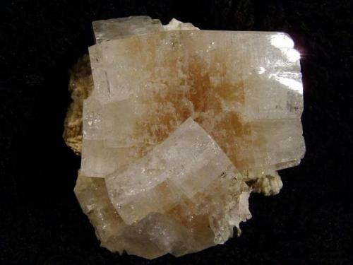 Apophyllite + ’gyrolite’. A large and lustrous apophyllite crystal with a distinct brown coloured centre on a bed of altered looking gyrolite. Crystal measures 27mm wide. Self-collected 2009 from near to Ollisdal Geo, Duirinish, Isle of Skye. (Author: Mike Wood)