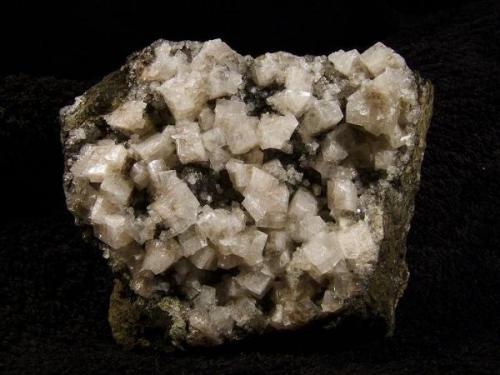 Chabazite + analcime. Fresh lustrous chabazite crystals to 7mm, of simple habit, scattered on a bed of transparent 1mm analcime crystals. Specimen measures 8cm x 6cm x 3cm high. From a remote locality on the south shore of Loch Bracadale. Self-collected 1994 from (600m east of Rubha nan Clach), Minginish, Isle of Skye, Scotland. (Author: Mike Wood)